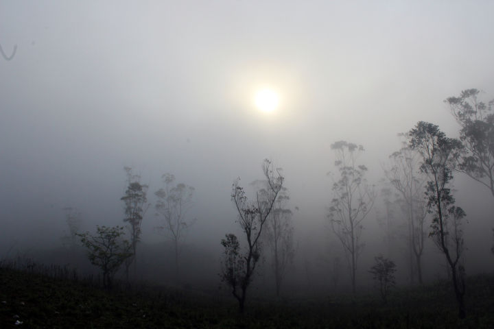 Photo of Periyar National Park, Kerala, India by Sheethal