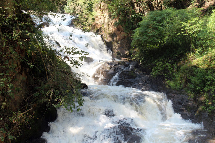 Photo of Thekkady Travel Trails by Sheethal