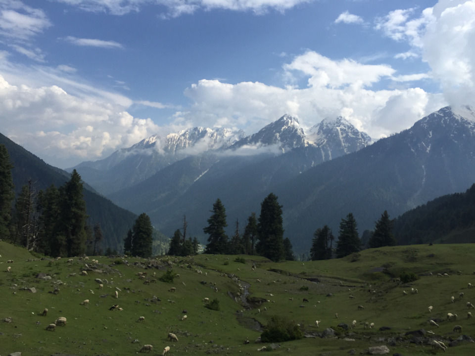 Photo of A Kashmiri Local's Guide To Exploring The Hidden Trails Of Aru And Lidderwat Valleys by Aamir Wani