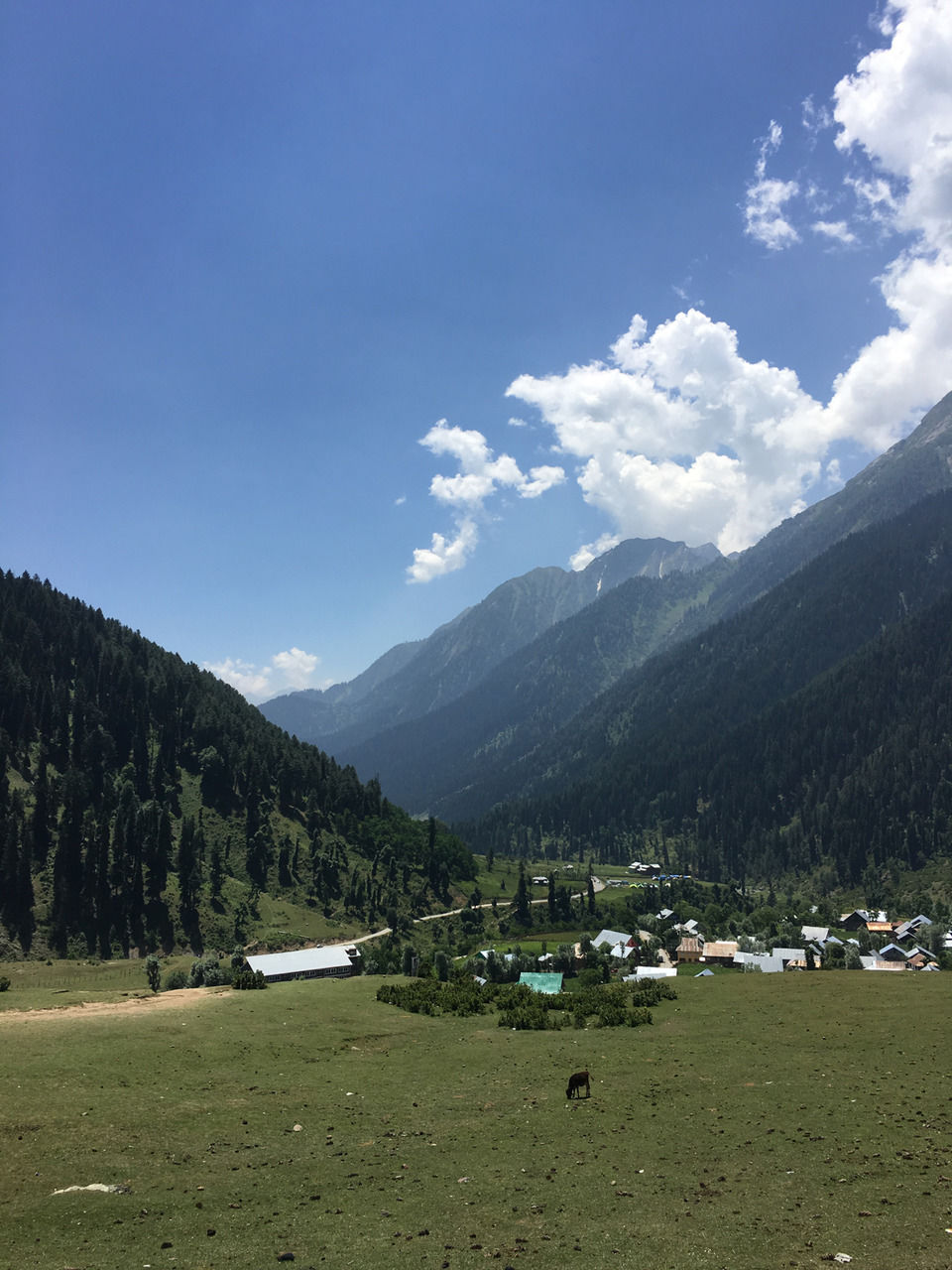 Photo of A Kashmiri Local's Guide To Exploring The Hidden Trails Of Aru And Lidderwat Valleys by Aamir Wani