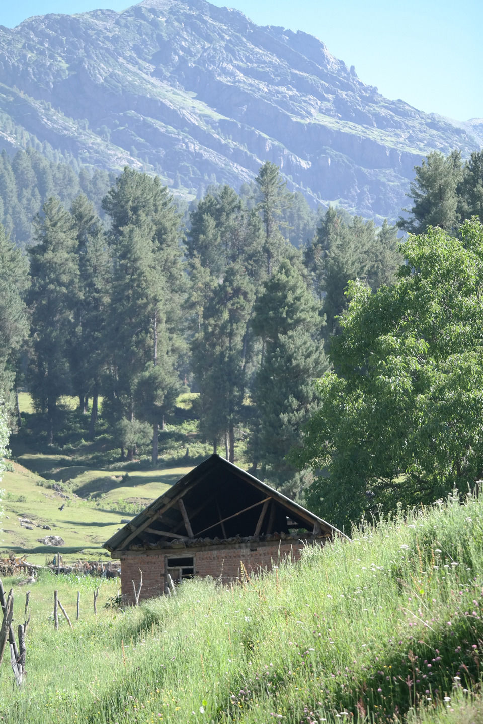 Photo of A Kashmiri Local's Guide To Exploring The Hidden Trails Of Aru And Lidderwat Valleys by Aamir Wani