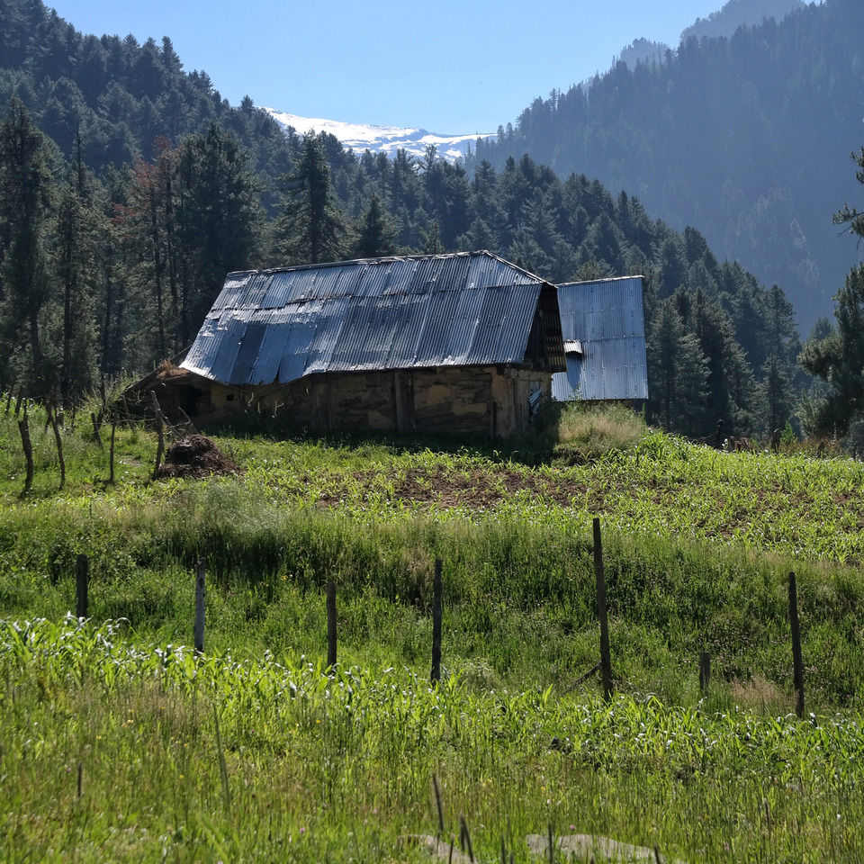 Photo of A Kashmiri Local's Guide To Exploring The Hidden Trails Of Aru And Lidderwat Valleys by Aamir Wani