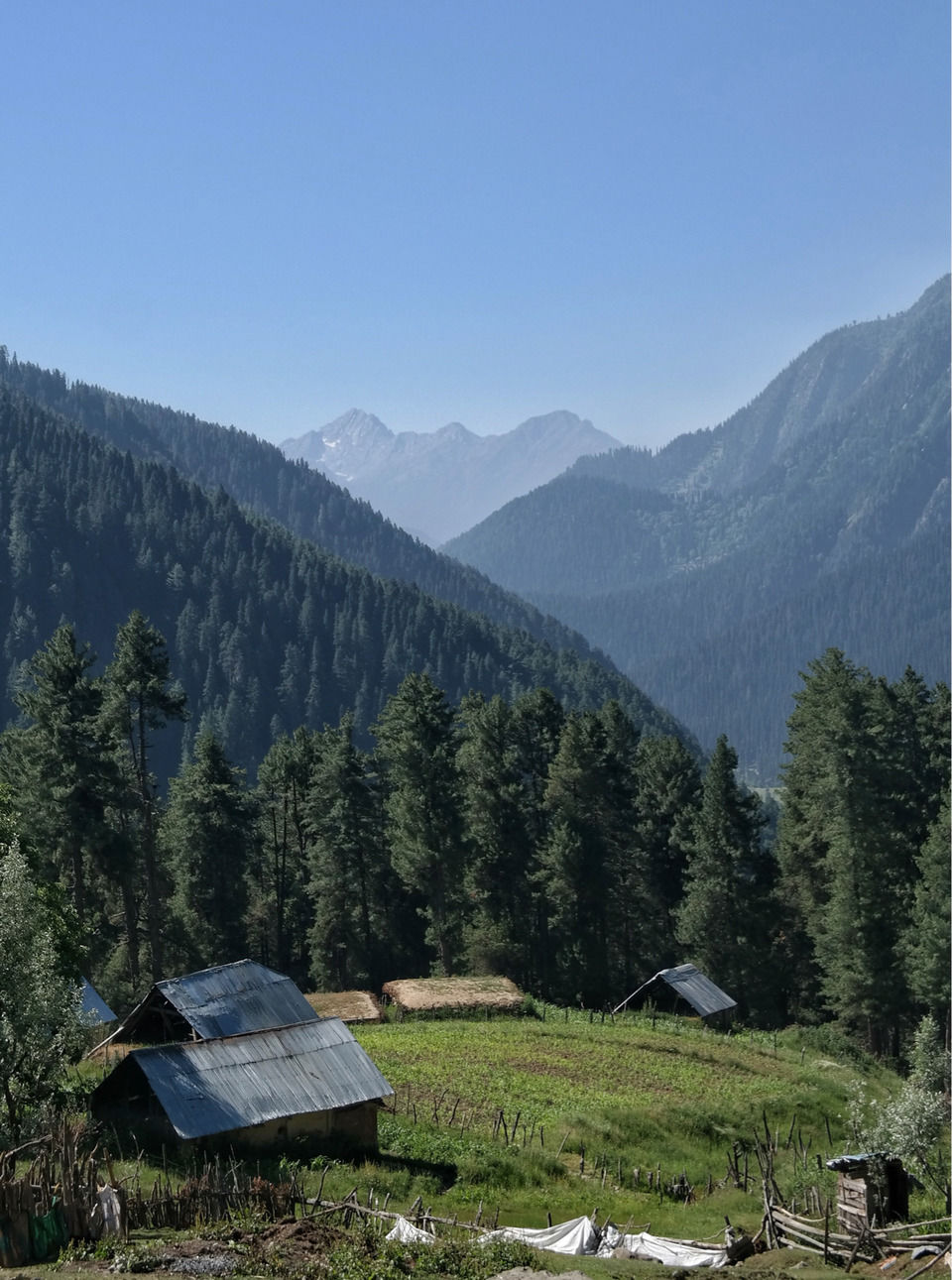 Photo of A Kashmiri Local's Guide To Exploring The Hidden Trails Of Aru And Lidderwat Valleys by Aamir Wani
