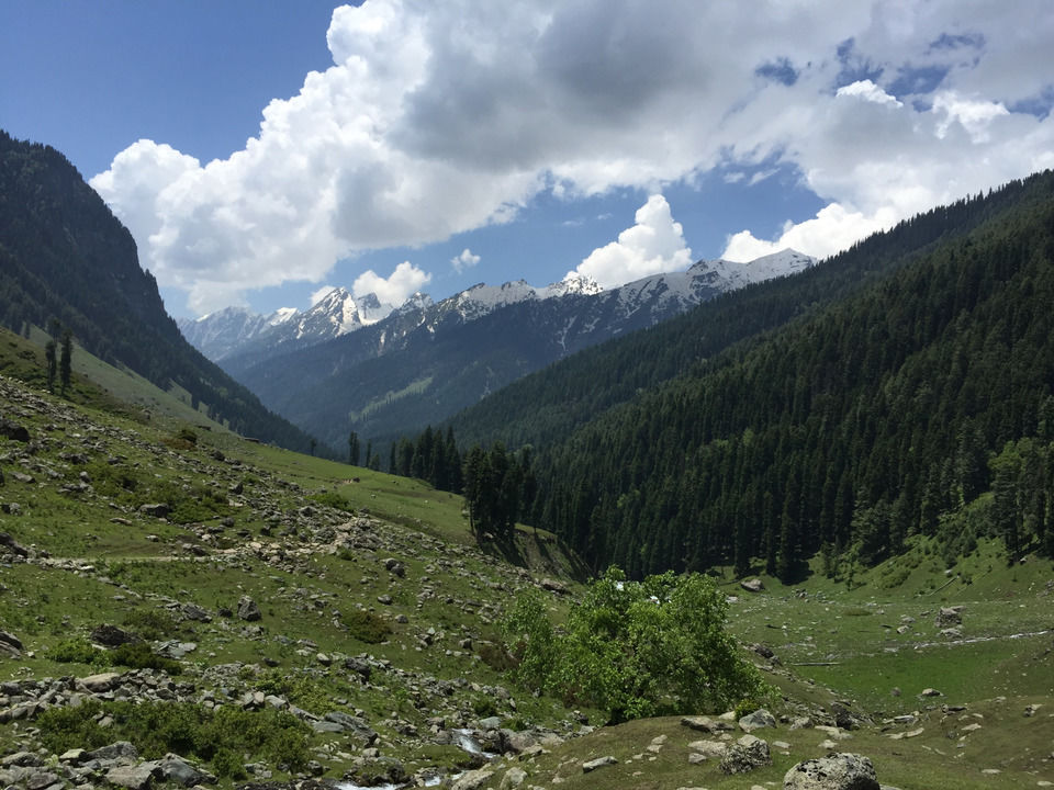 Photo of A Kashmiri Local's Guide To Exploring The Hidden Trails Of Aru And Lidderwat Valleys by Aamir Wani