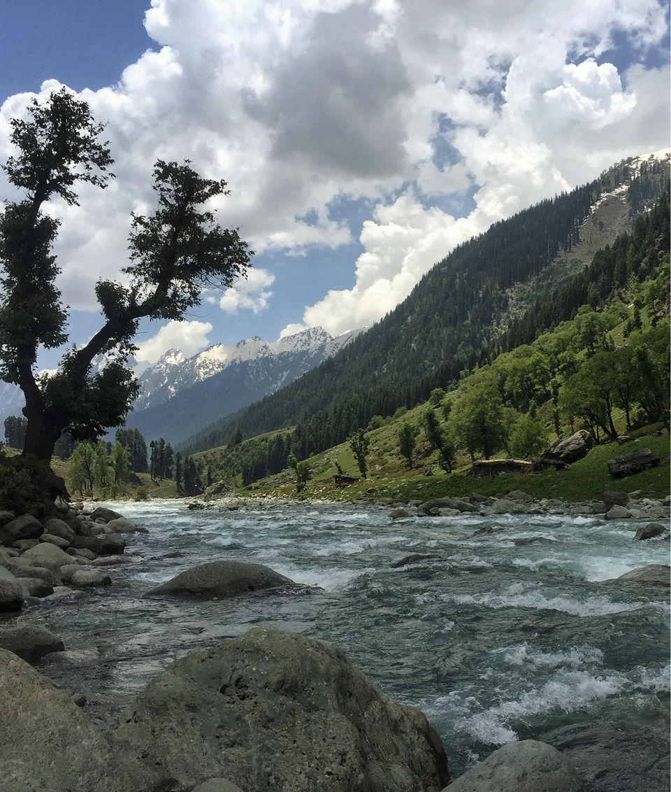 Photo of A Kashmiri Local's Guide To Exploring The Hidden Trails Of Aru And Lidderwat Valleys by Aamir Wani