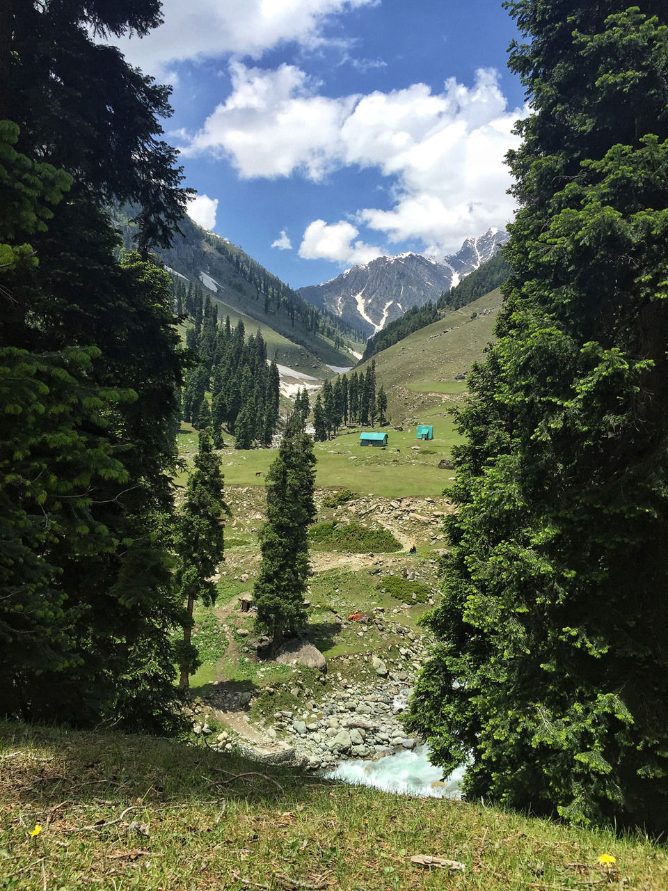 Photo of A Kashmiri Local's Guide To Exploring The Hidden Trails Of Aru And Lidderwat Valleys by Aamir Wani