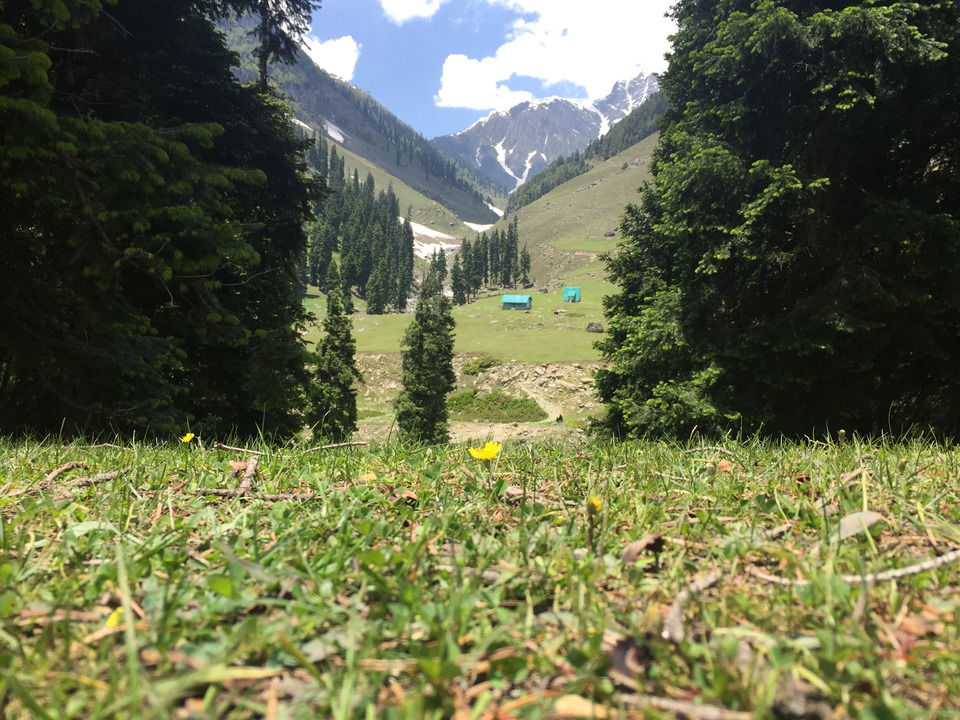 Photo of A Kashmiri Local's Guide To Exploring The Hidden Trails Of Aru And Lidderwat Valleys by Aamir Wani