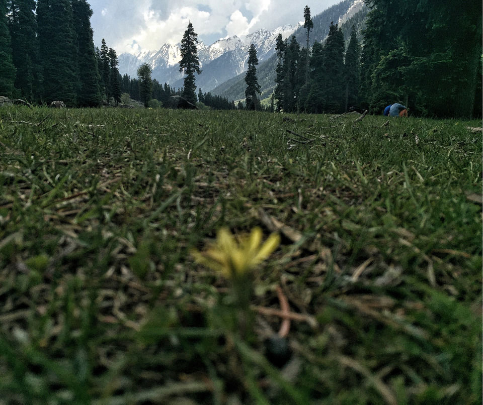 Photo of A Kashmiri Local's Guide To Exploring The Hidden Trails Of Aru And Lidderwat Valleys by Aamir Wani