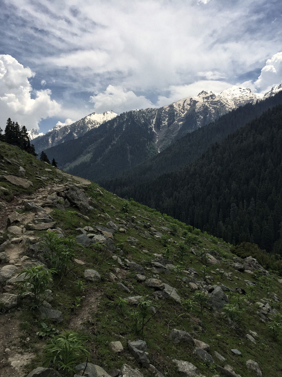 Photo of A Kashmiri Local's Guide To Exploring The Hidden Trails Of Aru And Lidderwat Valleys by Aamir Wani