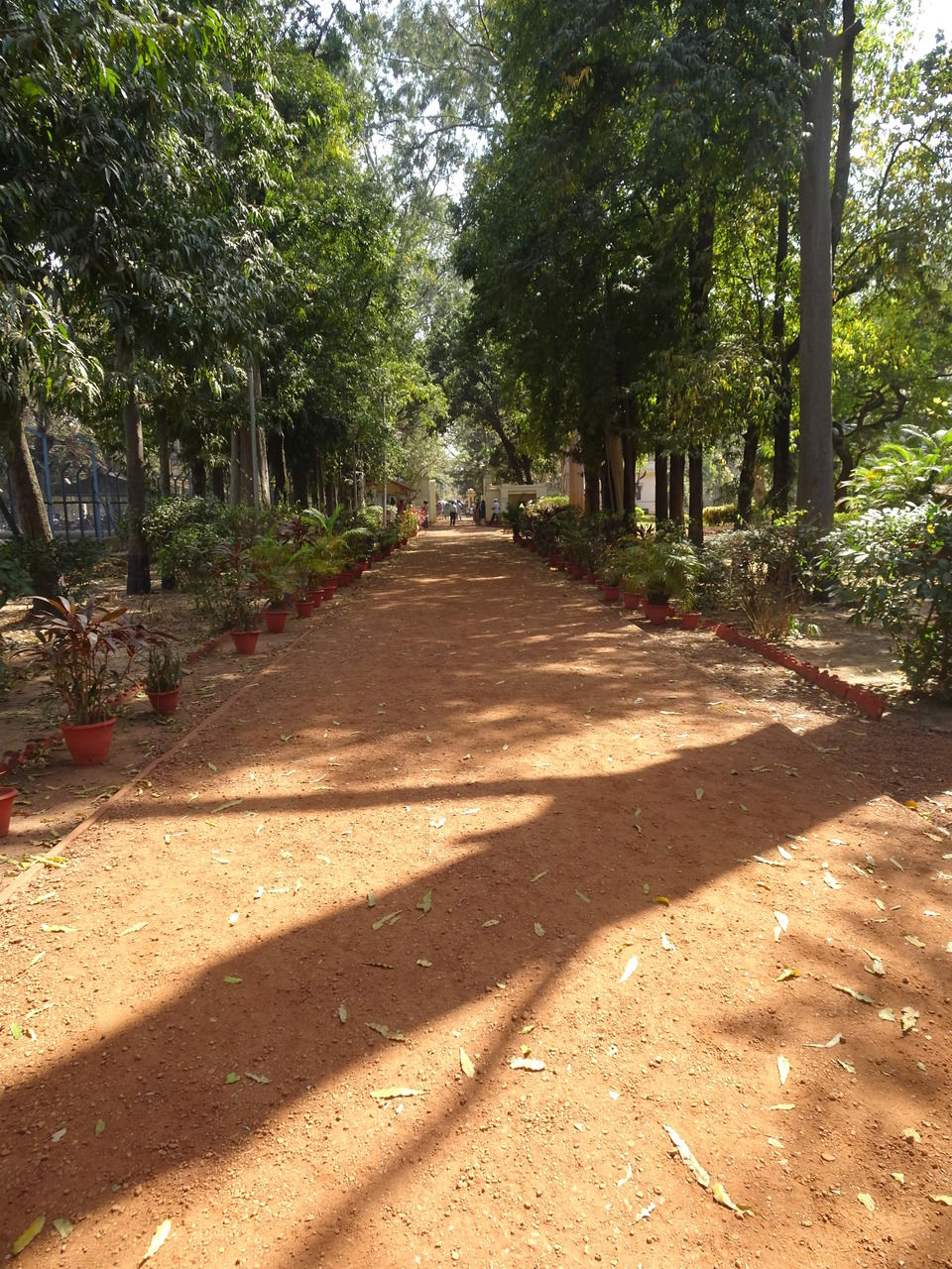 Photo of Bolpur, Shantiniketan (শান্তিনিকেতন) trip day 2 by Soma Dey
