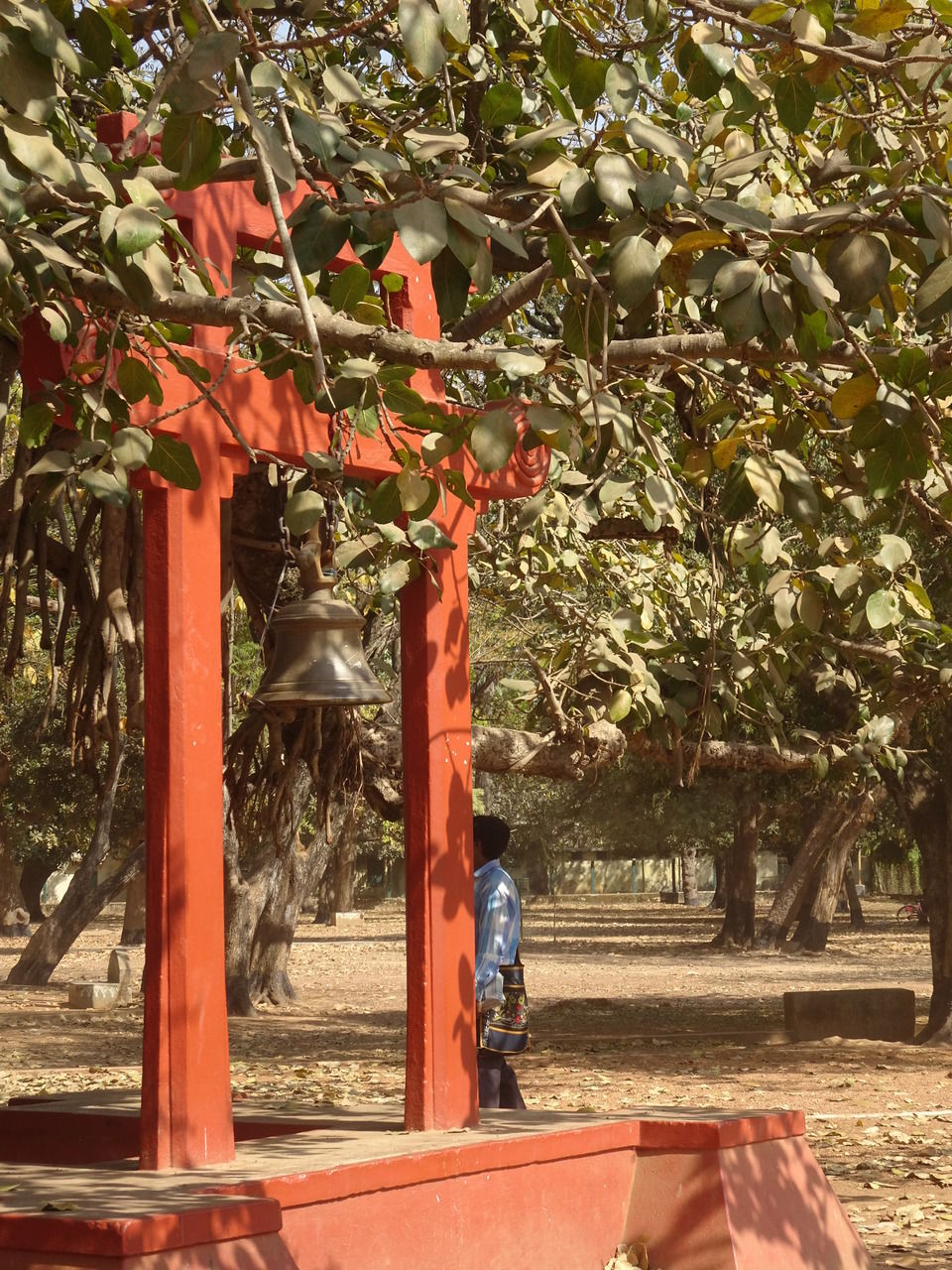 Photo of Bolpur, Shantiniketan (শান্তিনিকেতন) trip day 2 by Soma Dey