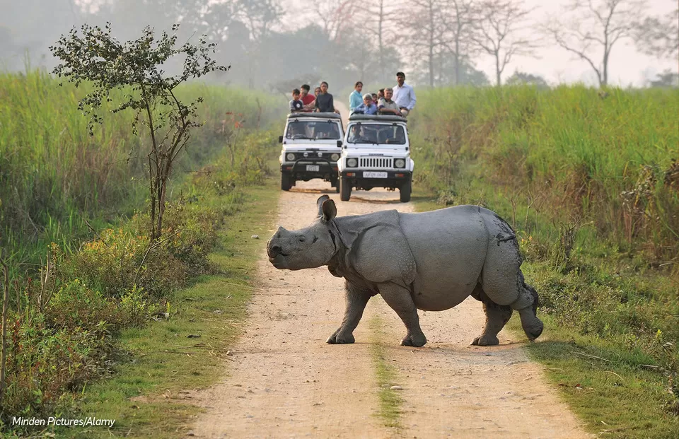 Photo of Gujarat, India by Travel+Leisure India & South Asia