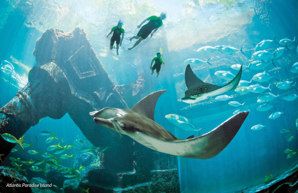 Photo of LEGOLAND California, Legoland Drive, Carlsbad, CA, United States by Travel+Leisure India & South Asia