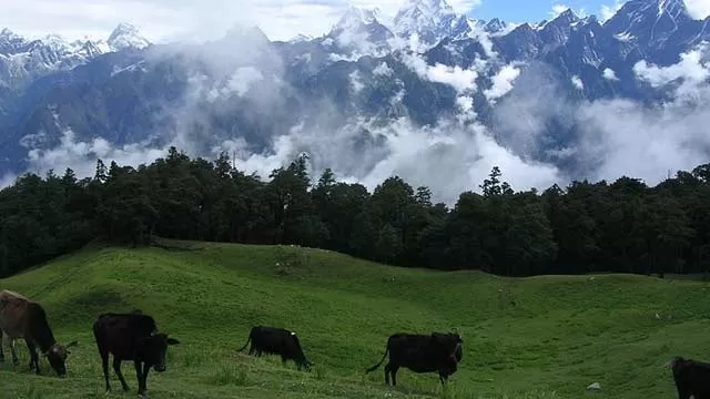 Photo of Auli, Himachal Pradesh, India by Tripoto