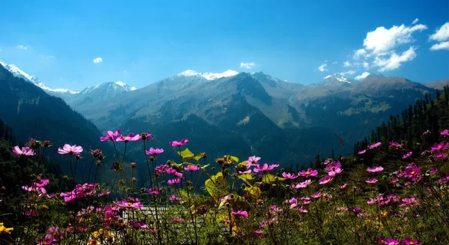 Photo of Manali, Himachal Pradesh, India by Tripoto