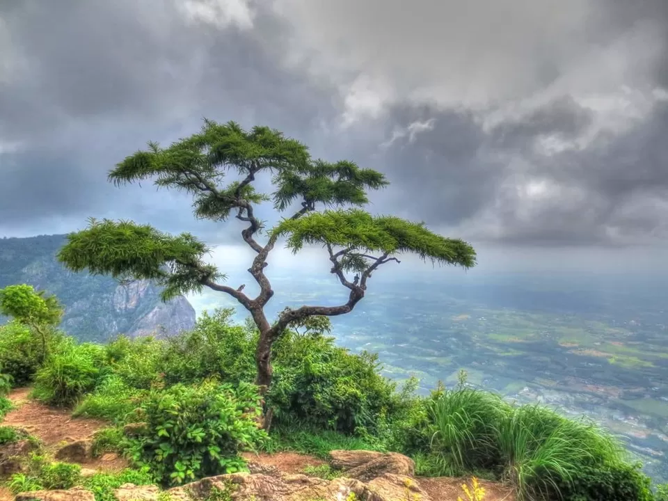 Photo of Nelliyampathy, Kerala, India by Sreshti Verma
