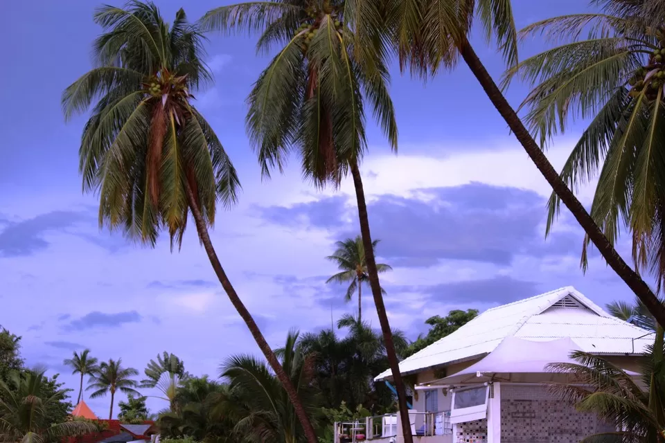Photo of Ko Samui Surat Thani Thailand by Srijita Kundu