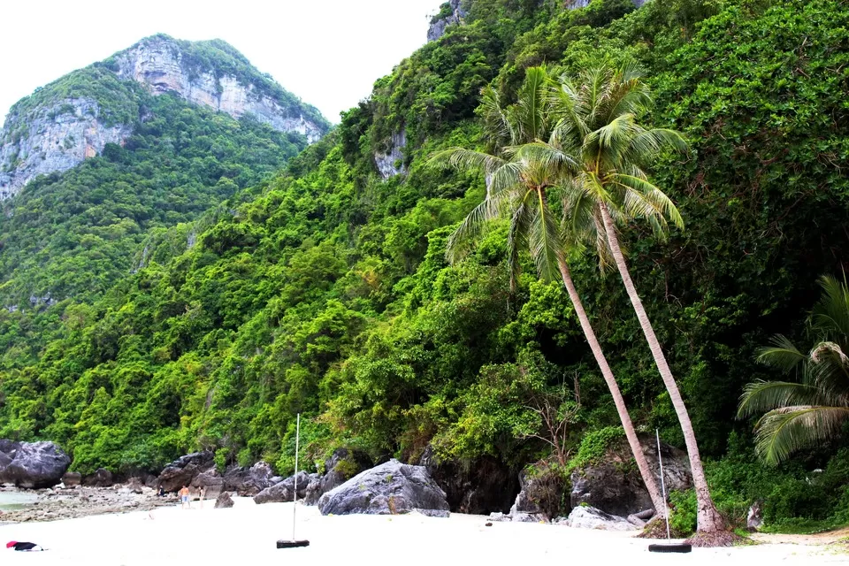 Photo of Ko Samui Surat Thani Thailand by Srijita Kundu