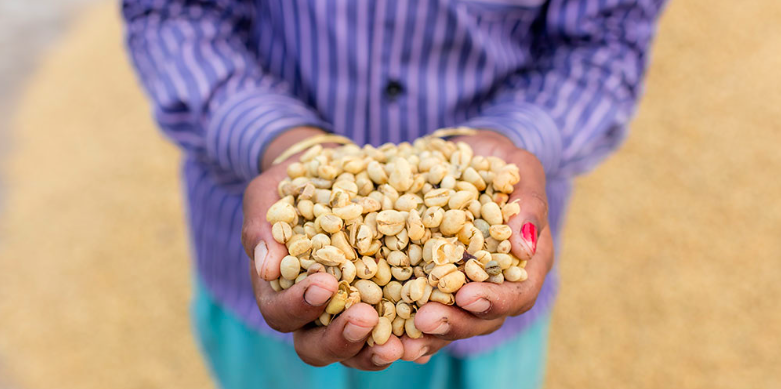 Photo of TATA Coffee Plantation Trails - Coorg, Pollibetta, Karnataka, India by Aakanksha Magan