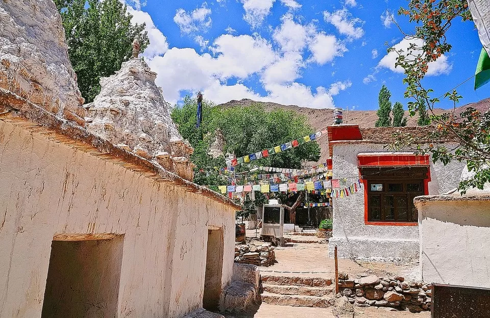 Photo of Experience Ladakh Like Never Before Through Its Stunning Apricot Trail by Sreshti Verma