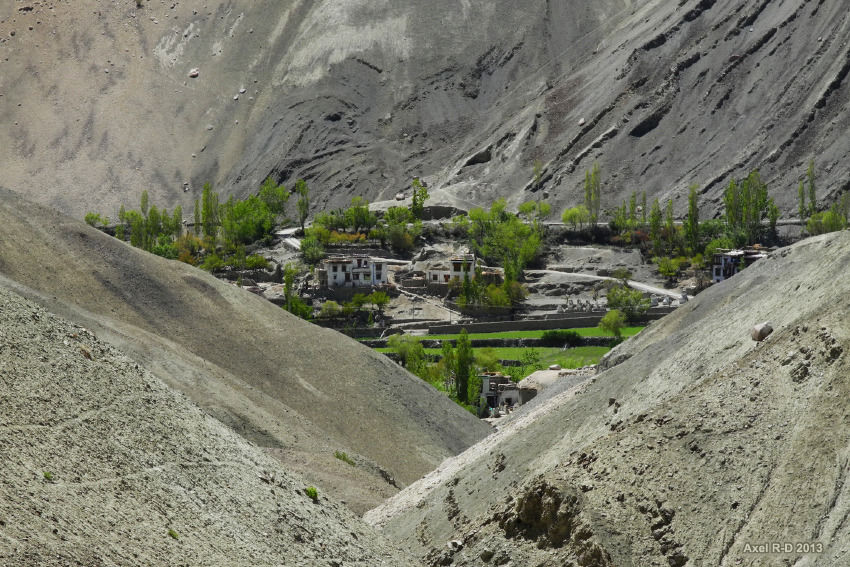 Photo of Experience Ladakh Like Never Before Through Its Stunning Apricot Trail by Sreshti Verma