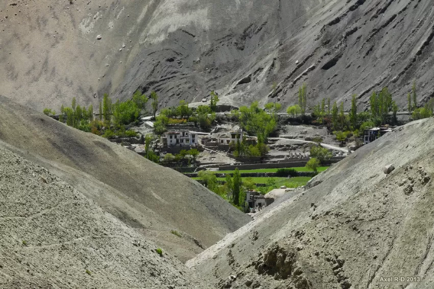 Photo of Experience Ladakh Like Never Before Through Its Stunning Apricot Trail by Sreshti Verma