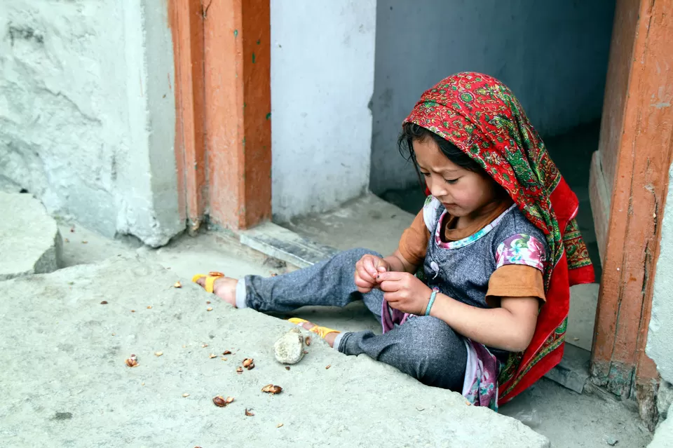Photo of Experience Ladakh Like Never Before Through Its Stunning Apricot Trail by Sreshti Verma