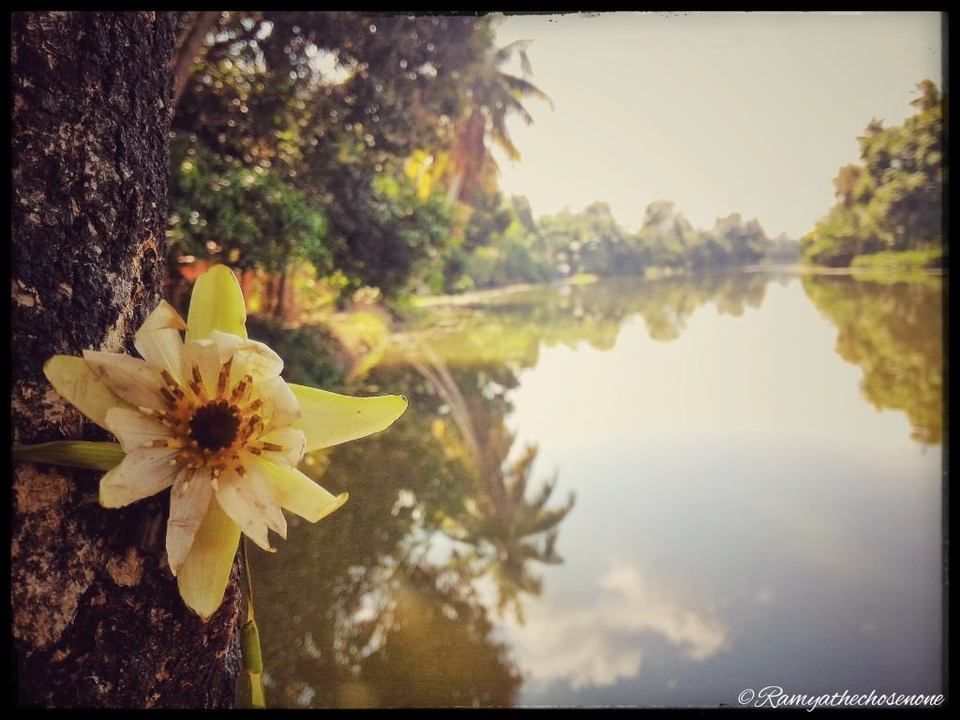 Photo of Vintage Dreams in Alleppey by Ramya Balakrishna