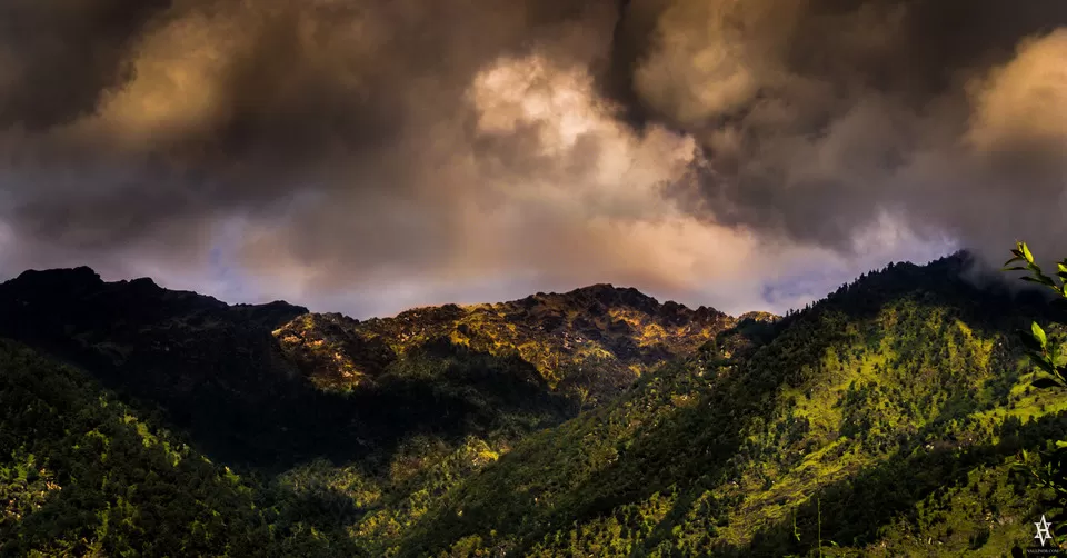 Photo of Munsyari, Uttarakhand, India by Tripoto