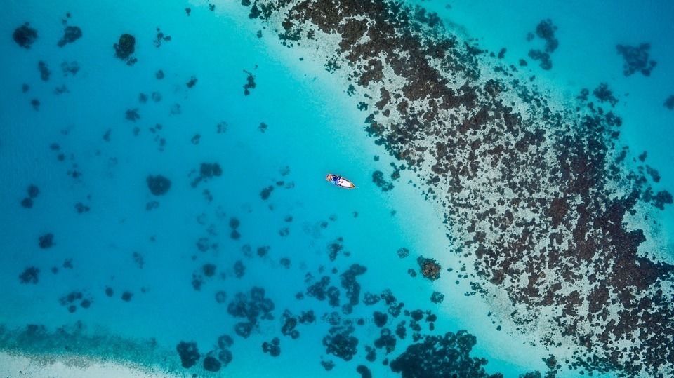 Photo of Enough with Bali. There are 18,000 other islands in Indonesia and they are equally gorgeous! by Trisha Singh