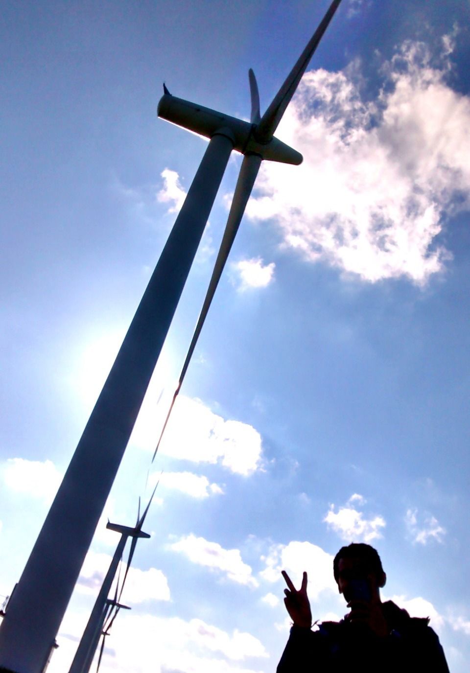 Photo of WWOOFING: Another way to travel the world for free 2/4 by Trisha Singh