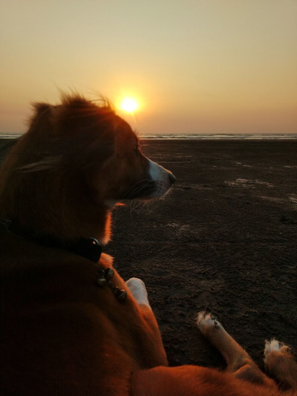Photo of This Hidden Hamlet Just 3 Hours Away From Mumbai Is The Perfect Long Weekend Getaway by Bappaditya Bhattacharya