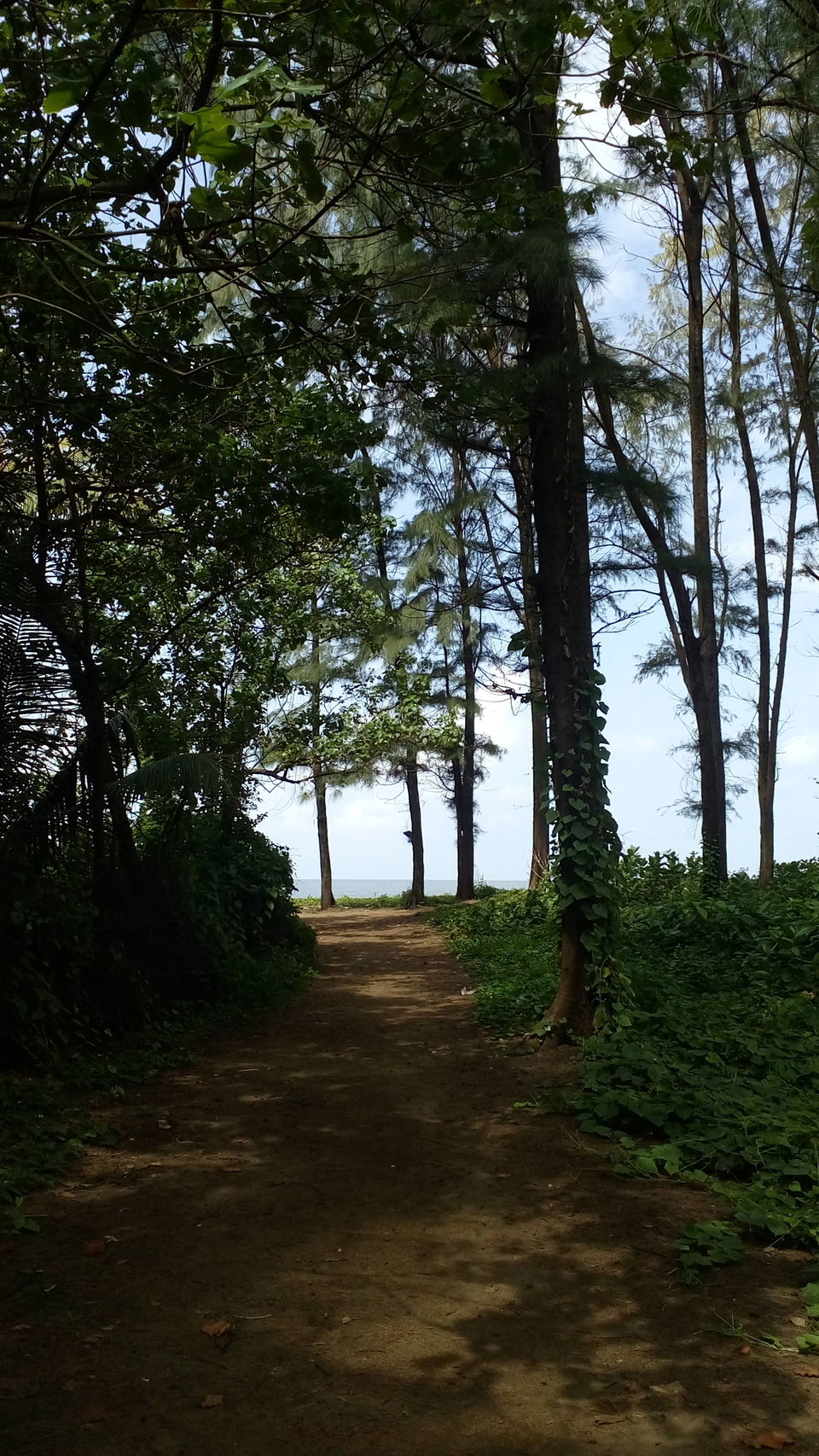 Photo of This Hidden Hamlet Just 3 Hours Away From Mumbai Is The Perfect Long Weekend Getaway by Bappaditya Bhattacharya