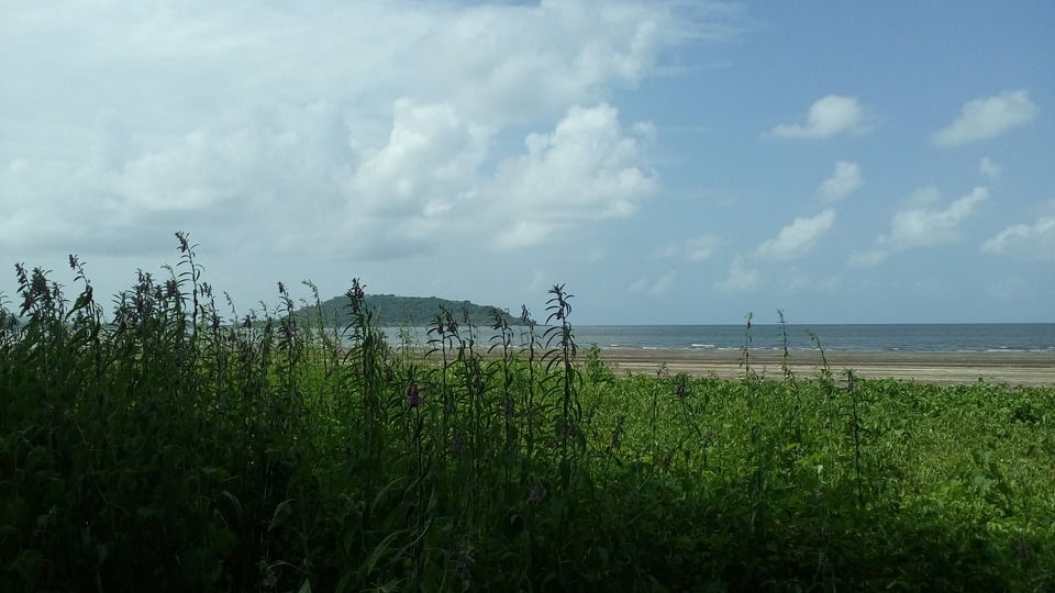 Photo of This Hidden Hamlet Just 3 Hours Away From Mumbai Is The Perfect Long Weekend Getaway by Bappaditya Bhattacharya