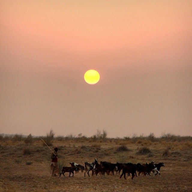 Photo of Offbeat Destinations In Rajasthan That Are Hiding In Plain Sight by Sreshti Verma