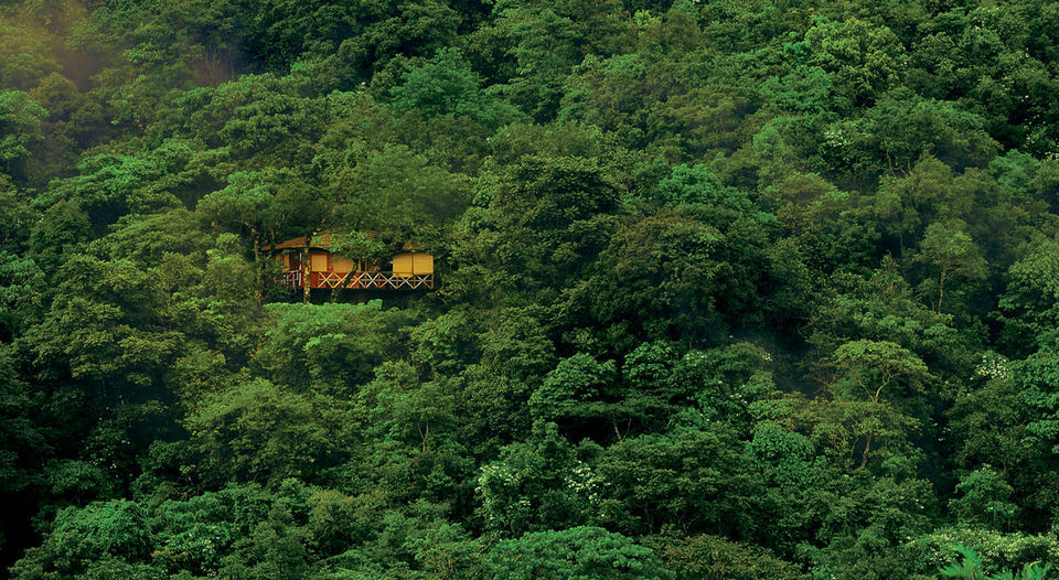 Photo of Vythiri Village Resort, Kunnathidavaka, Kerala, India by Sreshti Verma