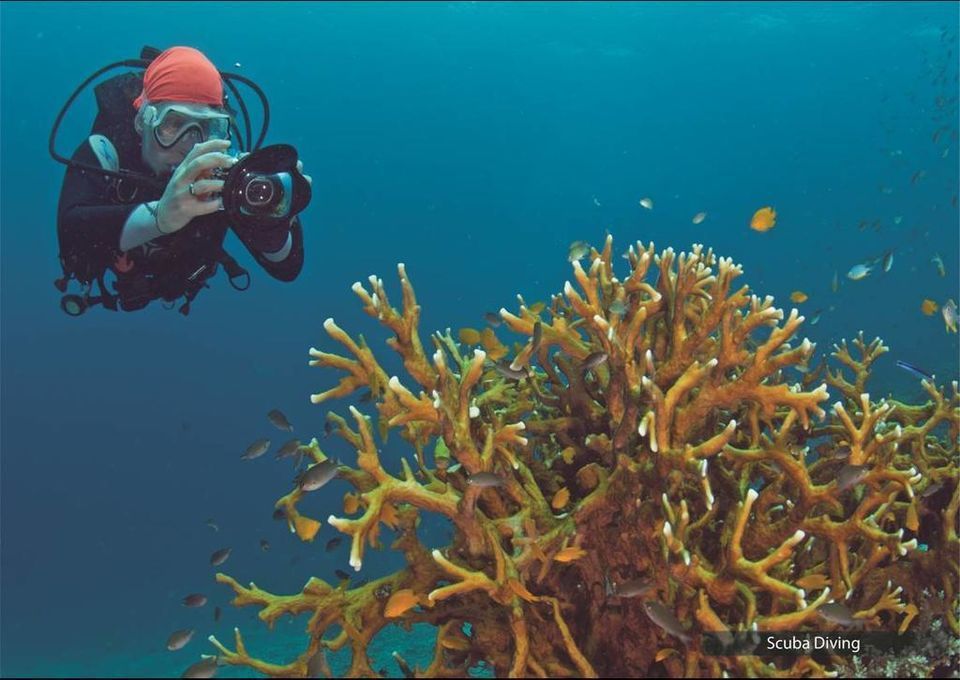 Photo of Barefoot at Havelock, South Andaman, Andaman and Nicobar Islands, India by Sreshti Verma