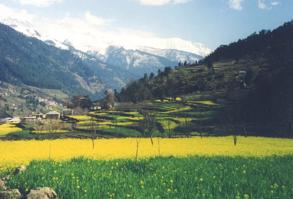 Photo of Himachal Pradesh, India by Tripoto