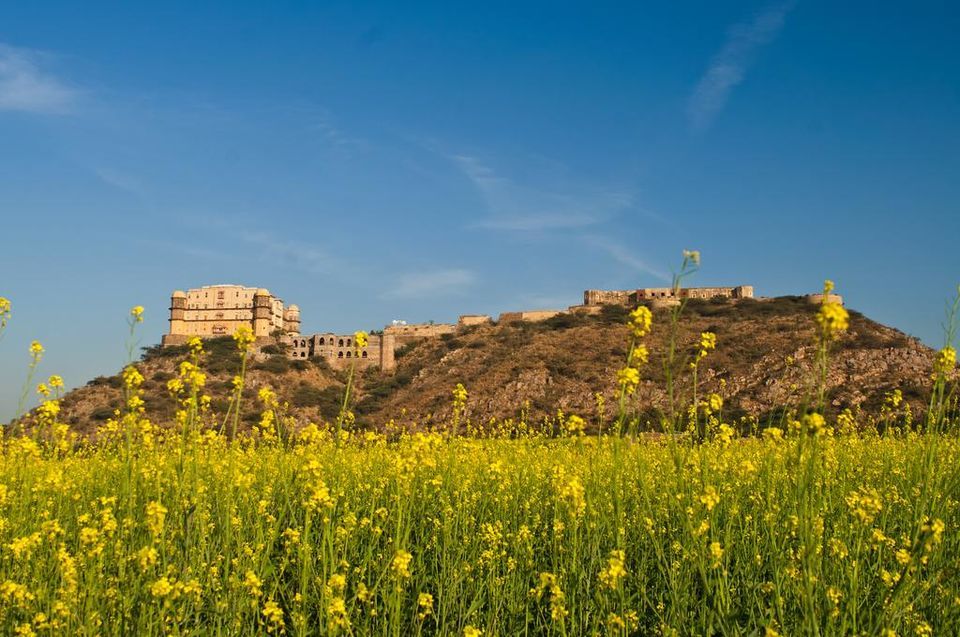 Photo of Neemrana's - Tijara Fort Palace, Tijara, India by Sreshti Verma