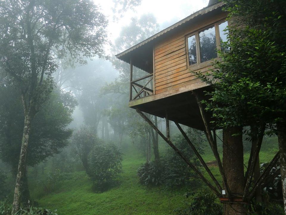 Photo of Nature Zone Resort, Munnar, Kerala, India by Tanushree Patwa