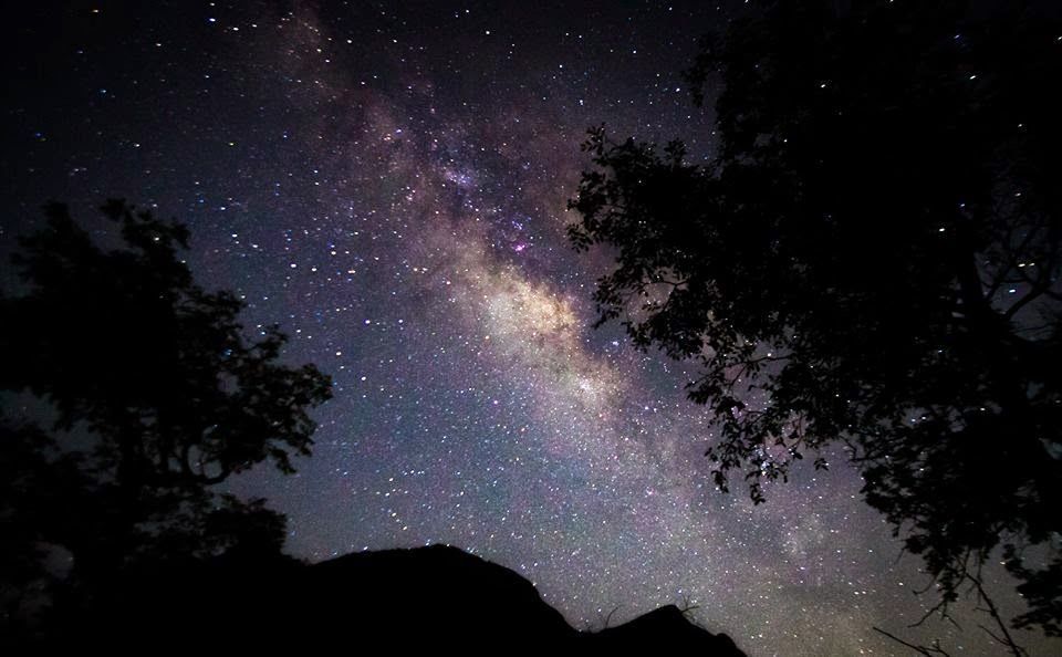 Photo of Undoubtedly the 10 Best Offbeat Camping Sites to Sleep under the Stars in India! by Tanushree Patwa