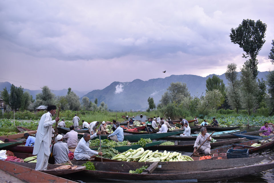 Photo of Floating Vegetable Market At The Dal by Aamir Wani