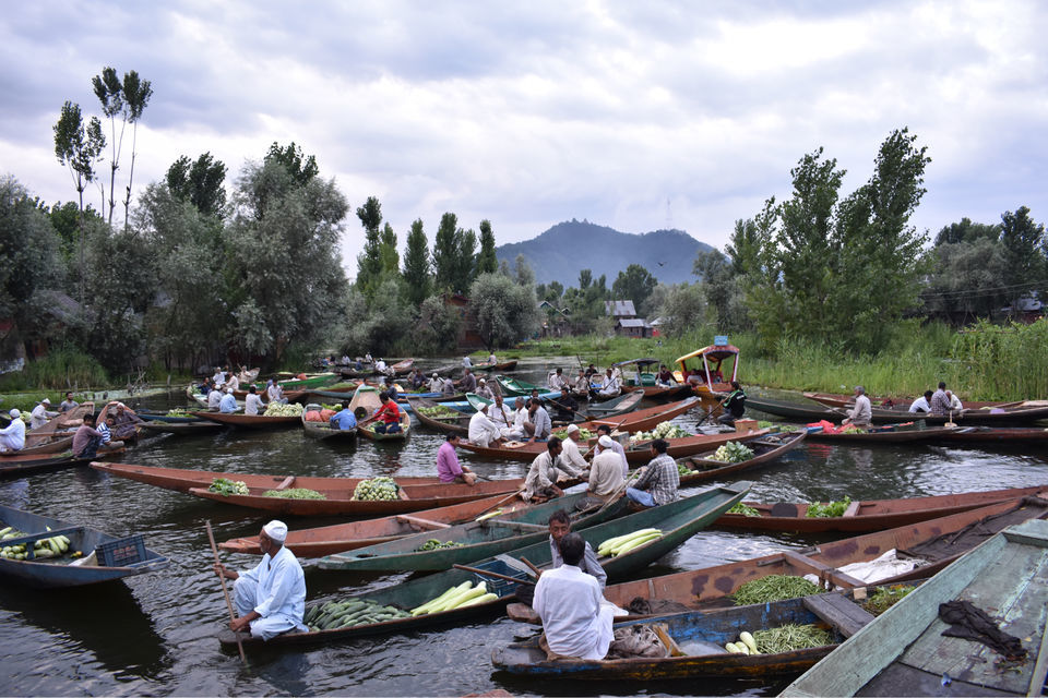 Photo of Floating Vegetable Market At The Dal by Aamir Wani
