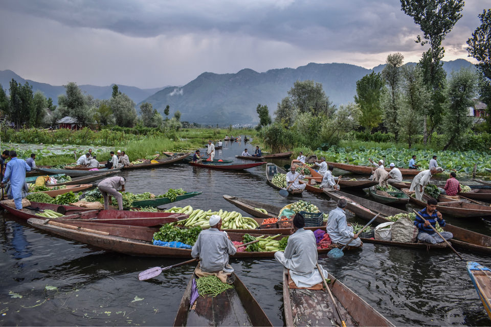 Photo of Floating Vegetable Market At The Dal by Aamir Wani