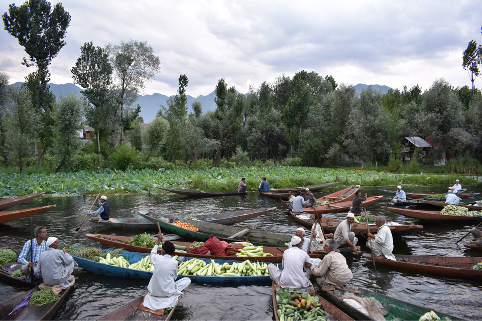 Photo of Floating Vegetable Market At The Dal by Aamir Wani