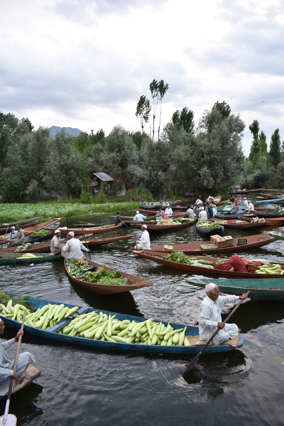 Photo of Floating Vegetable Market At The Dal by Aamir Wani