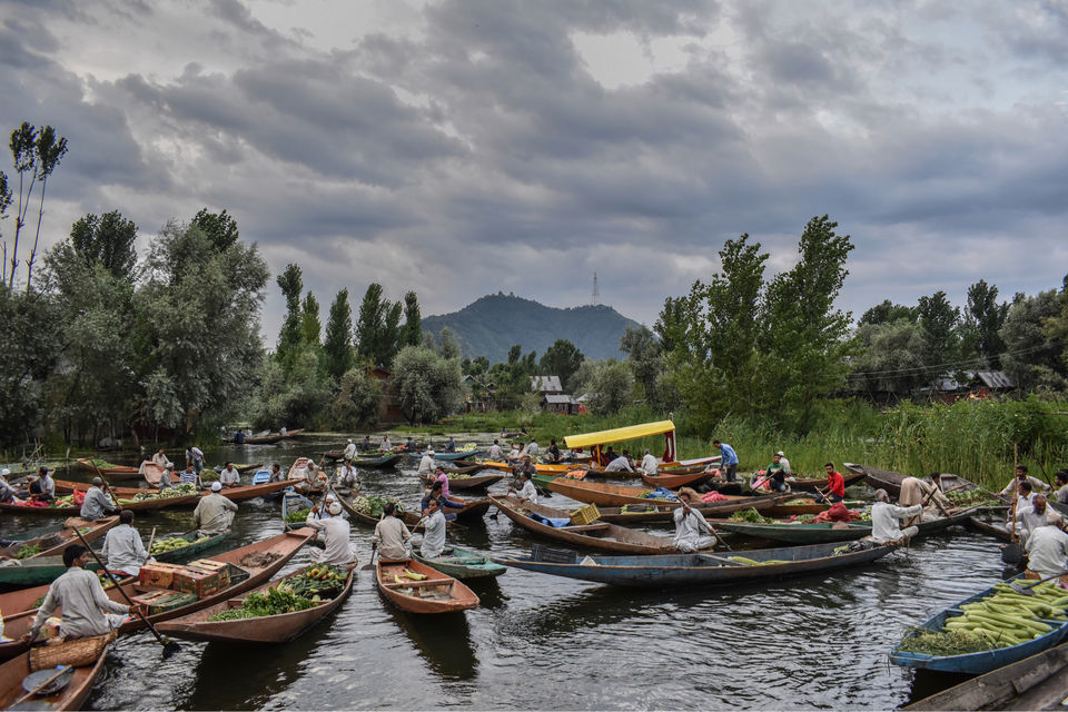Photo of Floating Vegetable Market At The Dal by Aamir Wani