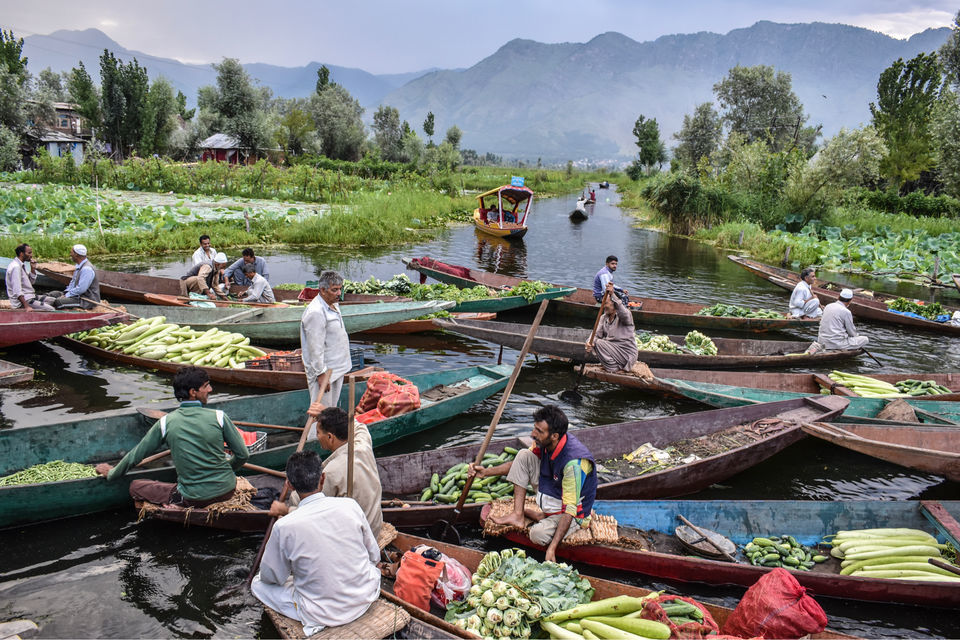 Photo of Floating Vegetable Market At The Dal by Aamir Wani