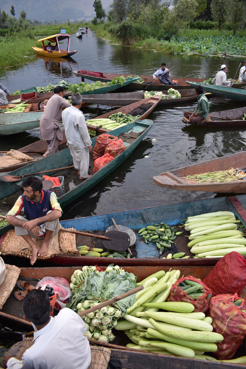 Photo of Floating Vegetable Market At The Dal by Aamir Wani
