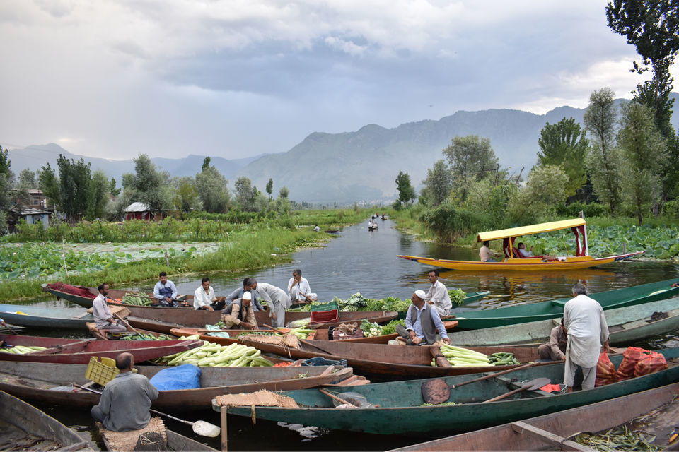 Photo of Floating Vegetable Market At The Dal by Aamir Wani
